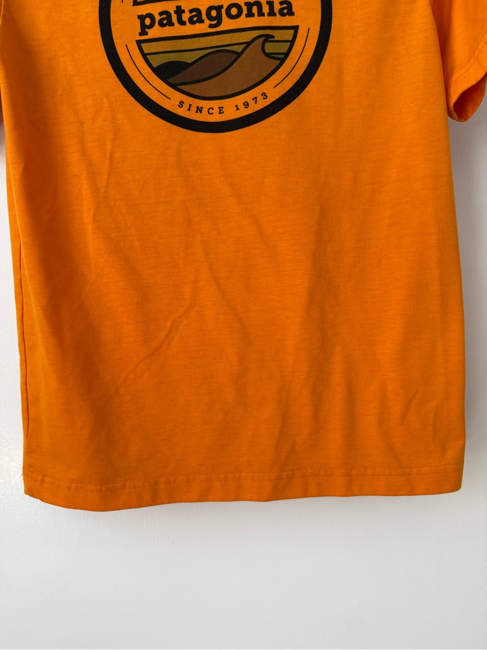 Patagonia Built to Endure Graphic Short Sleeve Shirt Size L (12) - Picture 9 of 13